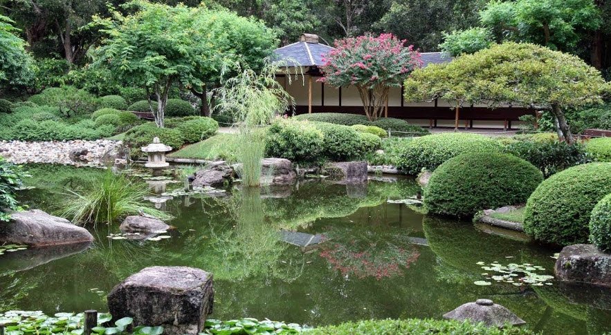 Brisbane Botanic Gardens Mt Coot-tha, Australia